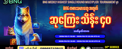 အထူးပရိုမိုးရှင်း အပိုဘောနပ်စ်များ